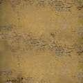 Adicolor TRAVERTINUS M