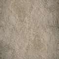 Adicolor TRAVERTINUS P