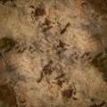 Adicolor OLD FASHION CORKSTONE