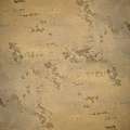 Adicolor OLD FASHION CORKSTONE