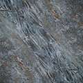 Adicolor DECORDEK