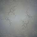SanDeco DECO ART GOLD & SILVER