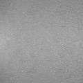 Adicolor JOYE