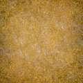 Adicolor DESIRE LUXURY