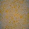 Adicolor DESIRE LUXURY
