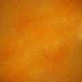 Adicolor VELE