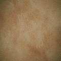 Adicolor VELE